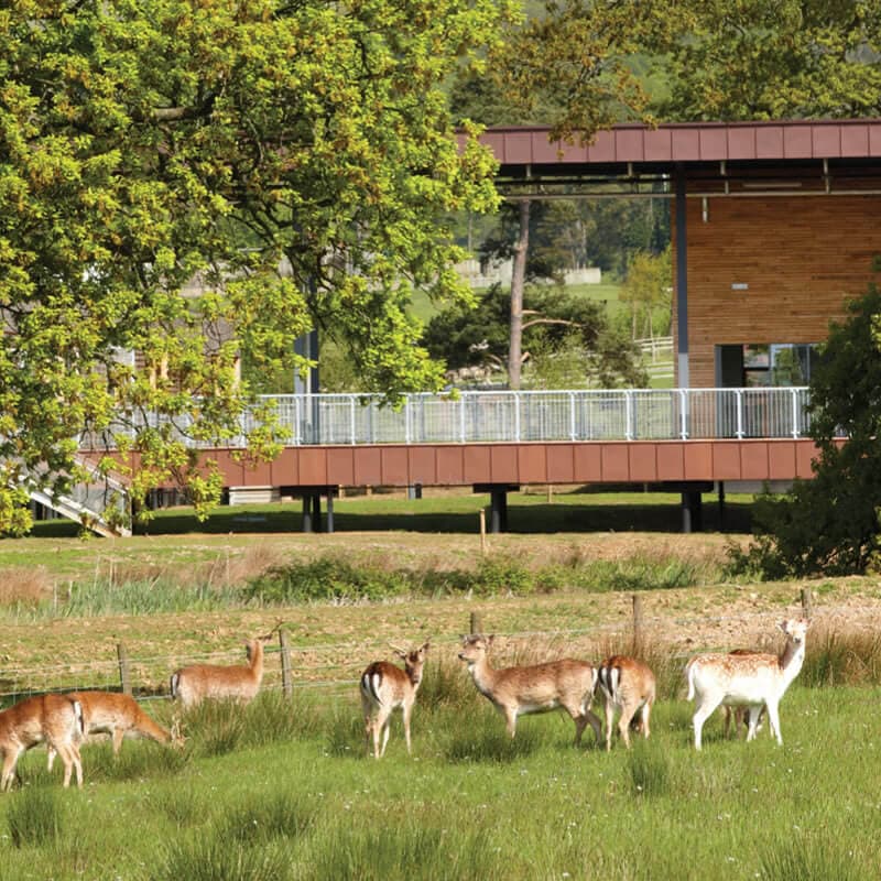 Margam Park Discovery Centre feature image