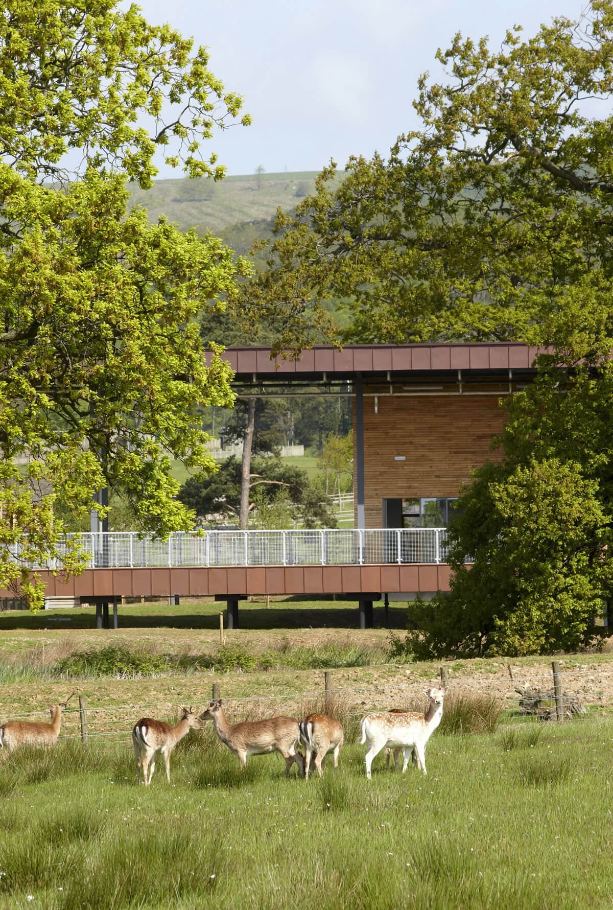 Margam Park Discovery Centre 1