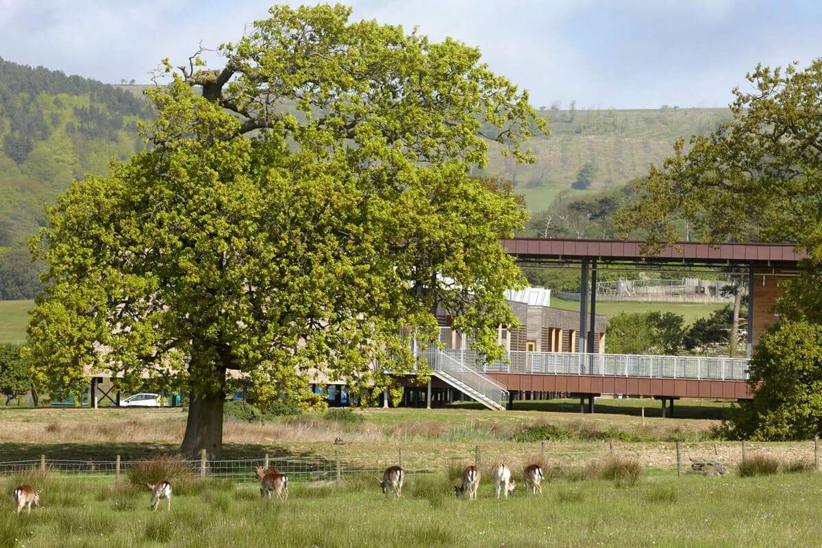 Margam Park Discovery Centre 19