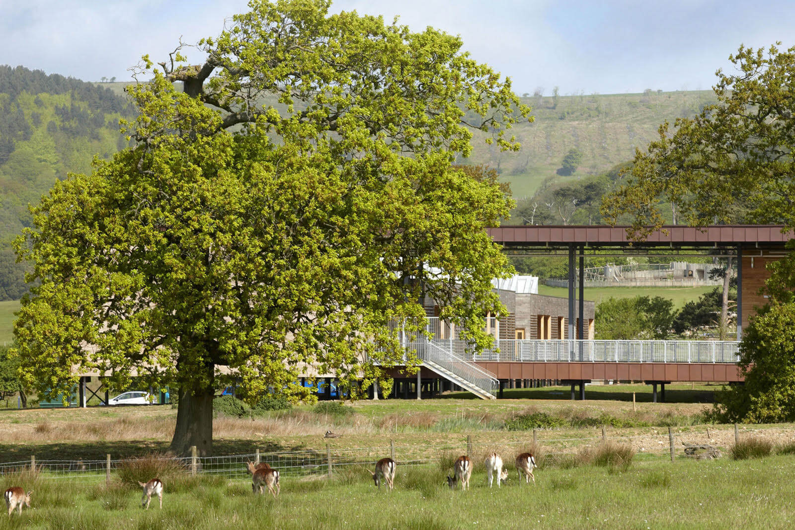 Margam Park Discovery Centre | Loyn + Co Architects